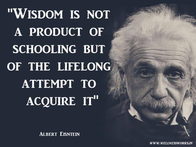 Einstein Wisdom Understanding