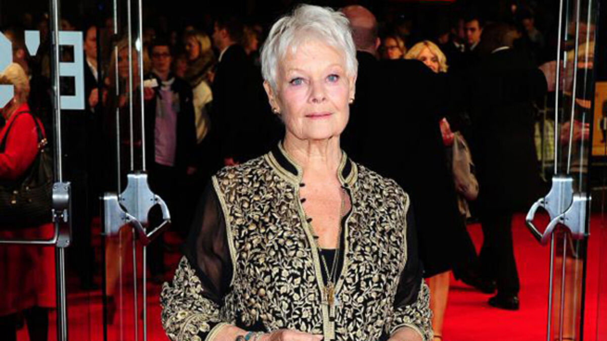 Day Seizing with Judi Dench