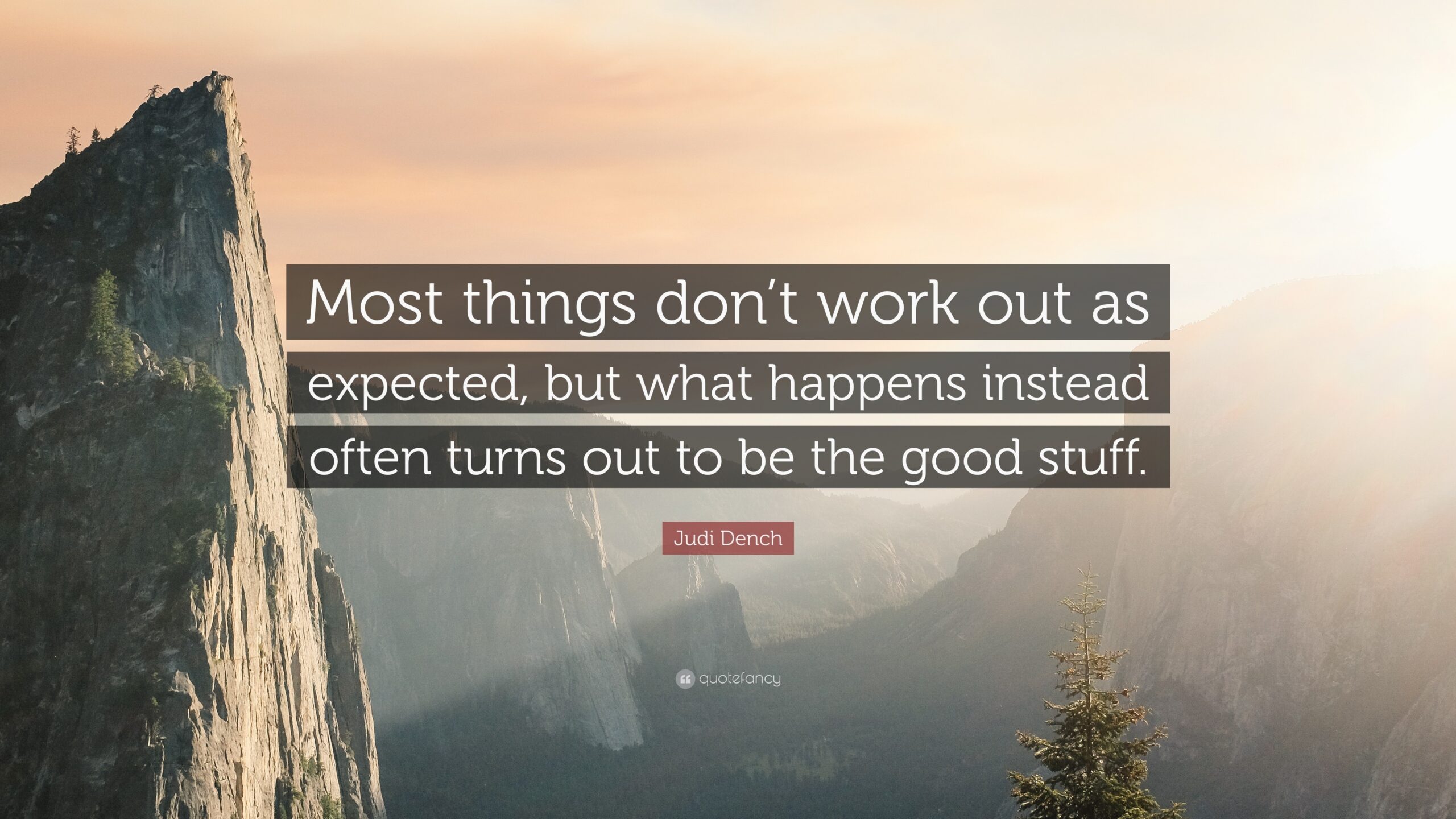 Judi Dench Wisdom Work