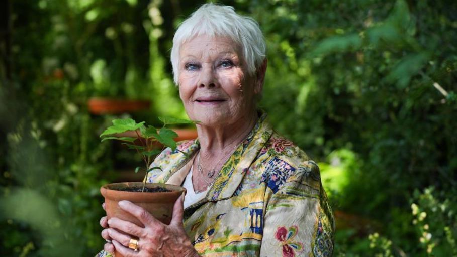Living Empath Judi Dench